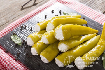 Перчики фаршированные с сыром фета